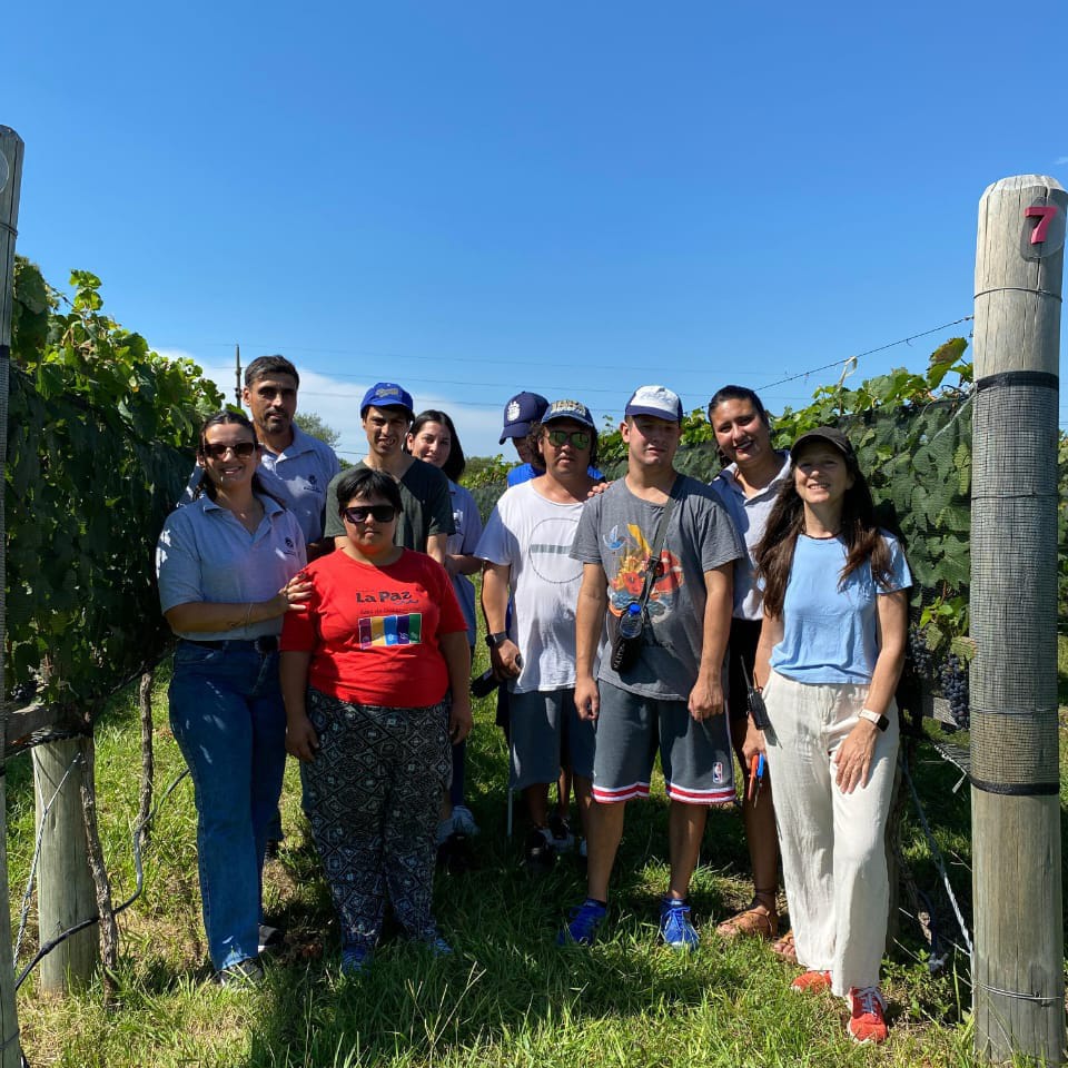 Los jóvenes del Área de Discapacidad visitaron el Viñedo de la ciudad